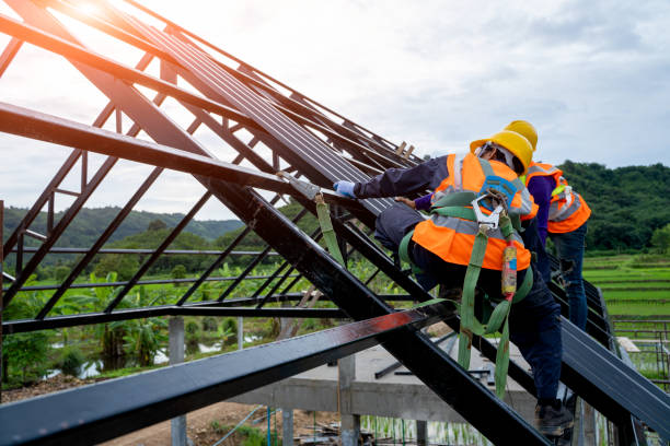 Best Local Roofing Companies  in Hull, IA