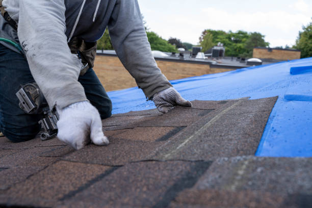 Best Roof Leak Repair  in Hull, IA