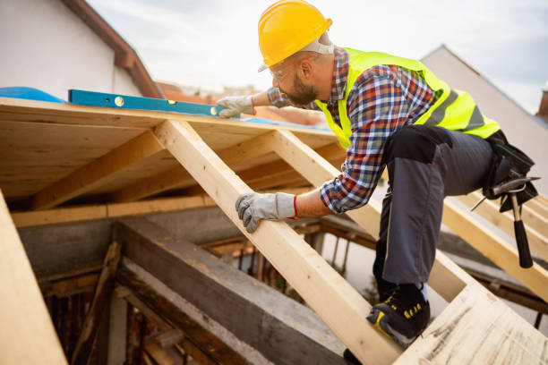 Best Roof Maintenance Services  in Hull, IA