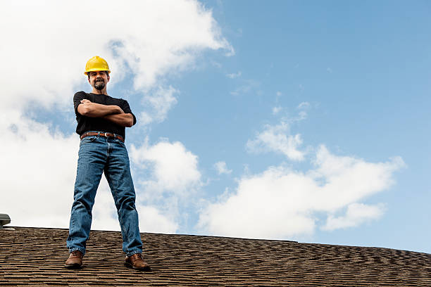 Best Roof Gutter Cleaning  in Hull, IA