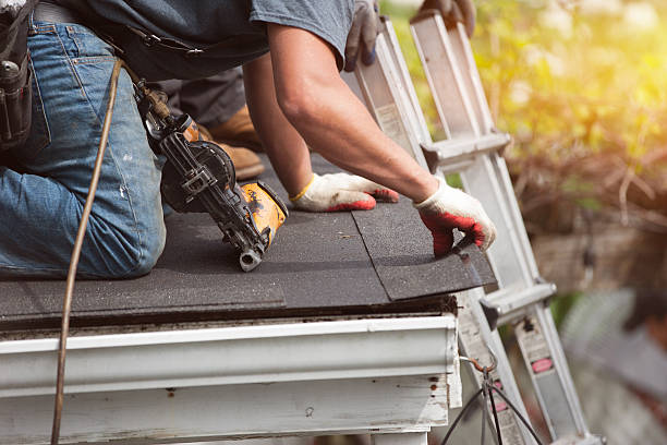 Best Flat Roof Repair Services  in Hull, IA