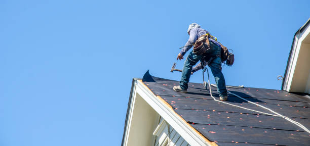 Best Commercial Roof Installation  in Hull, IA